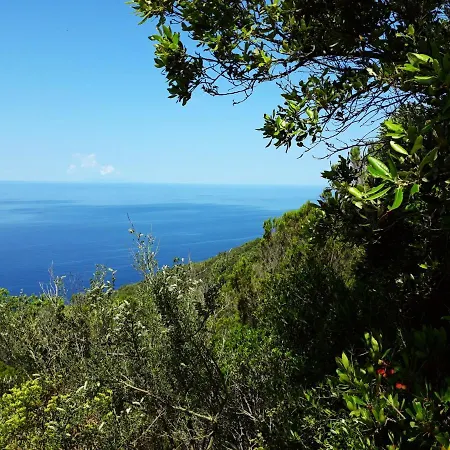 Claudi A * San Vincenzo