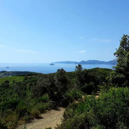 Claudi A San Vincenzo